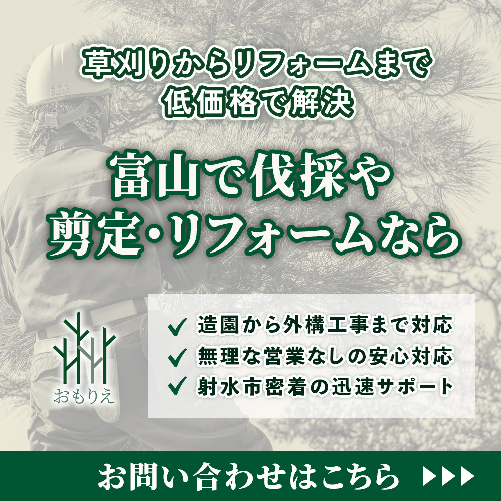 modal_banner